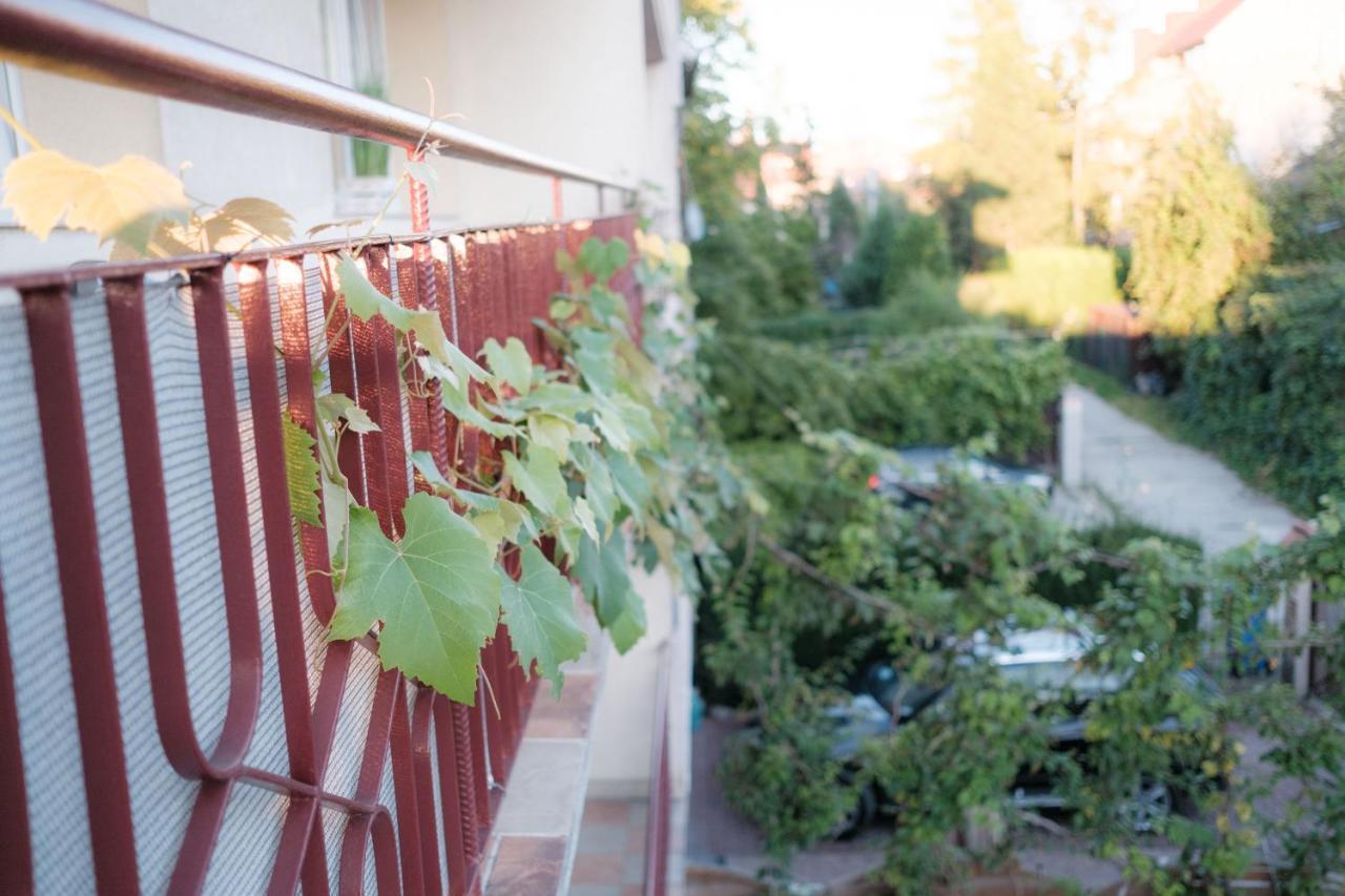 Fredry 15F Apartment Krakow Bagian luar foto