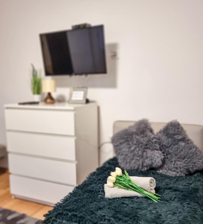 Fredry 15F Apartment Krakow Bagian luar foto