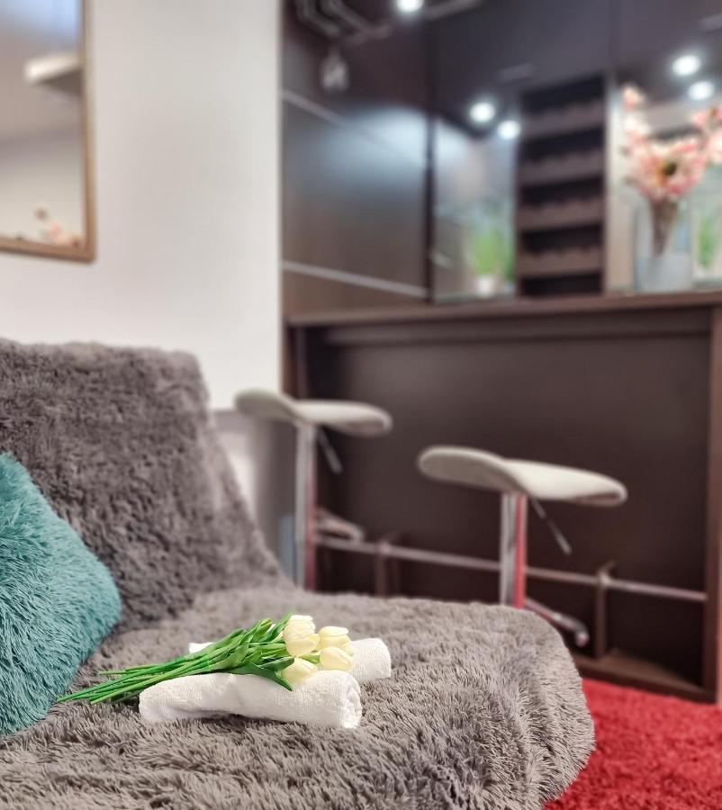Fredry 15F Apartment Krakow Bagian luar foto