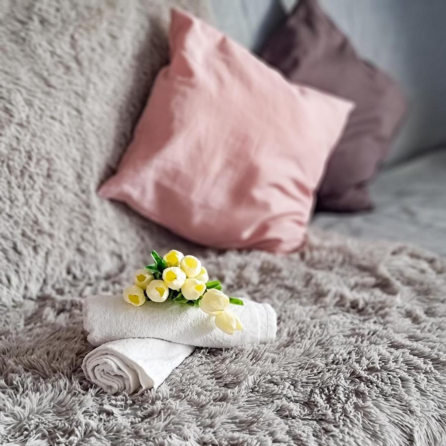 Fredry 15F Apartment Krakow Bagian luar foto