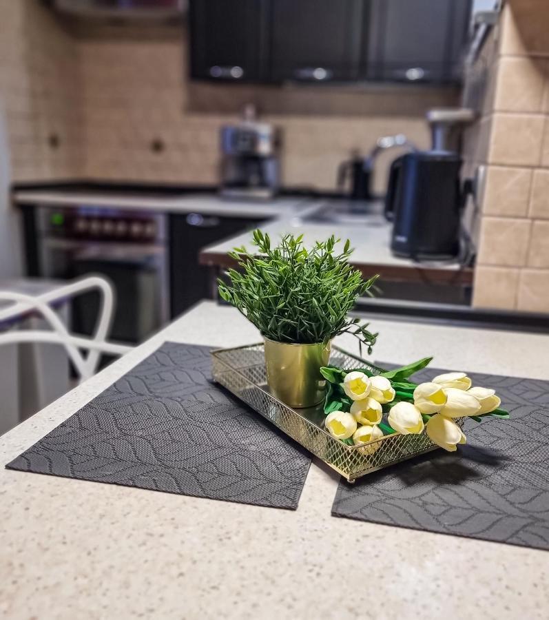 Fredry 15F Apartment Krakow Bagian luar foto