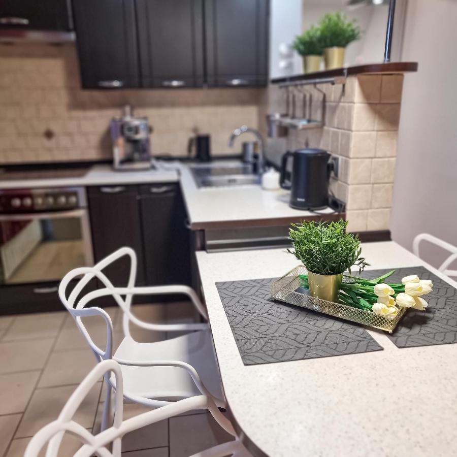 Fredry 15F Apartment Krakow Bagian luar foto