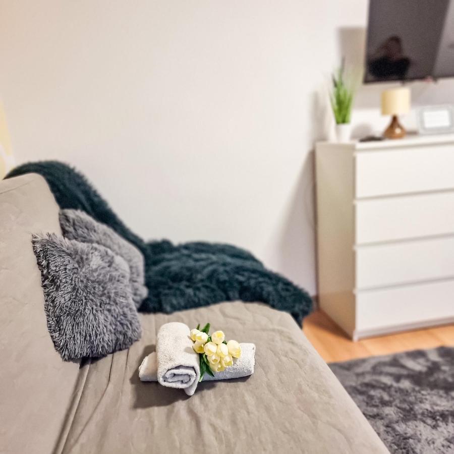 Fredry 15F Apartment Krakow Bagian luar foto
