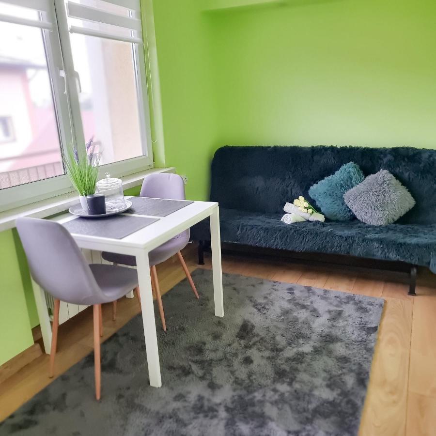 Fredry 15F Apartment Krakow Bagian luar foto