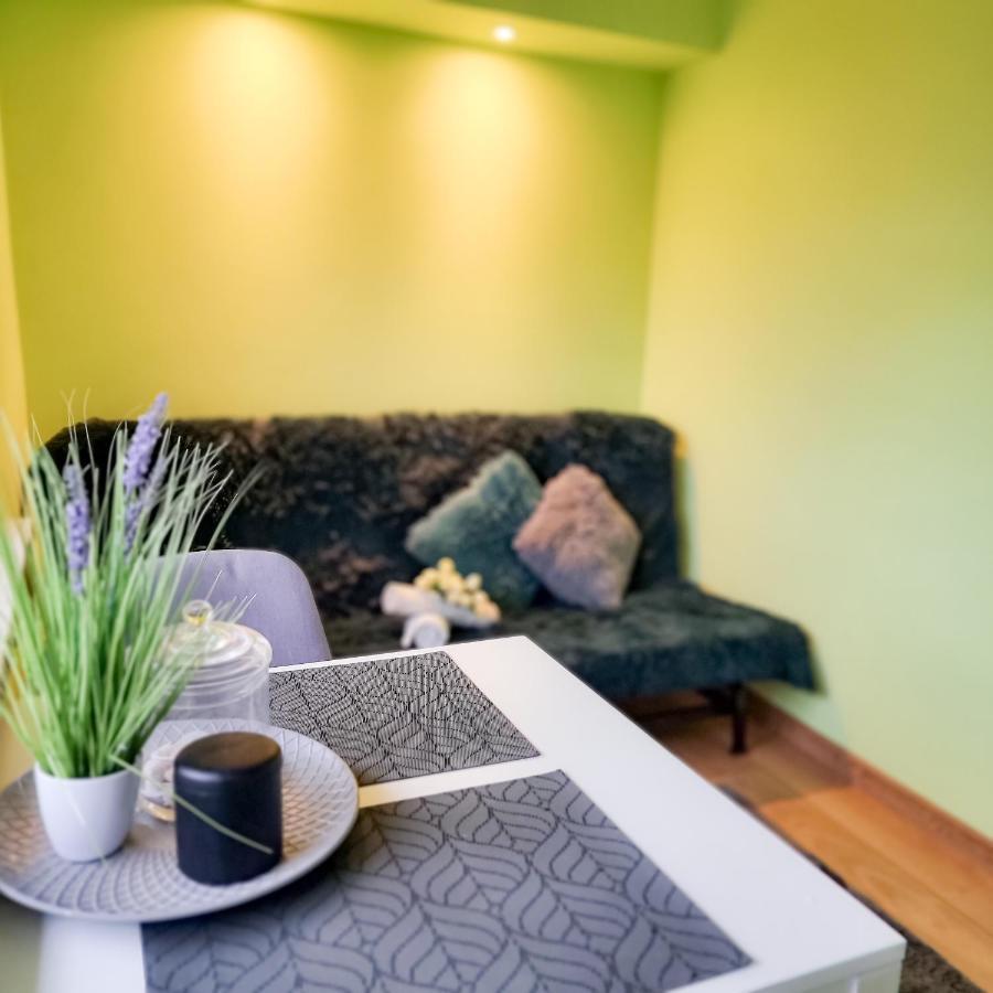 Fredry 15F Apartment Krakow Bagian luar foto