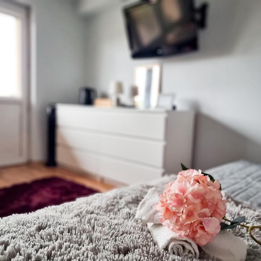 Fredry 15F Apartment Krakow Bagian luar foto