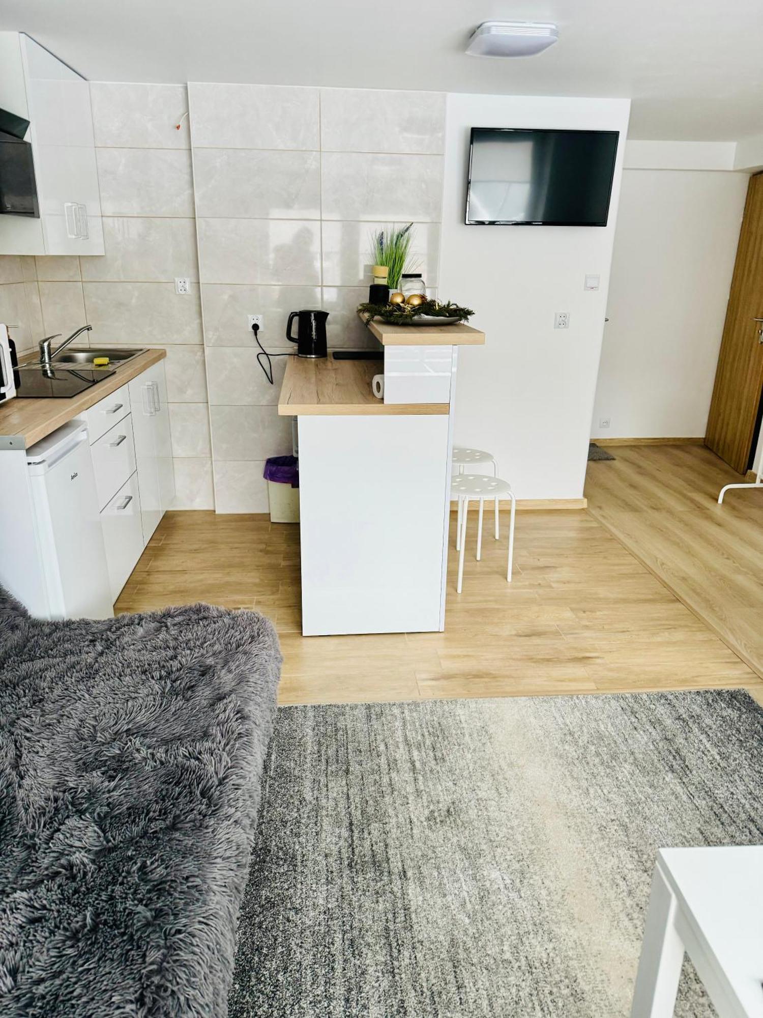 Fredry 15F Apartment Krakow Bagian luar foto